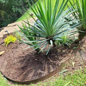 About us, the tree service leaders in Dallas, TX